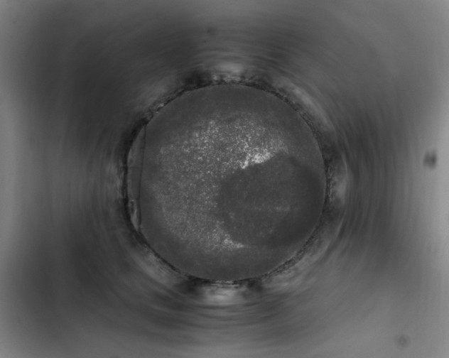 X0000103310661200808291430