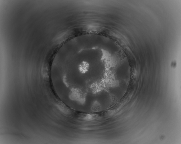 X0000103310663200808291430