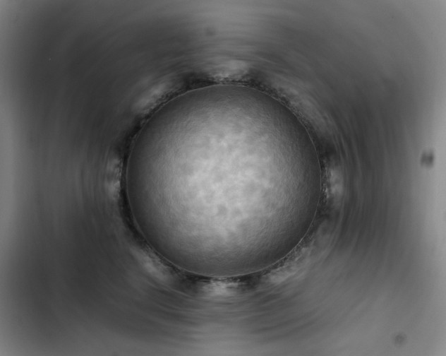 X0000103310664200808291430