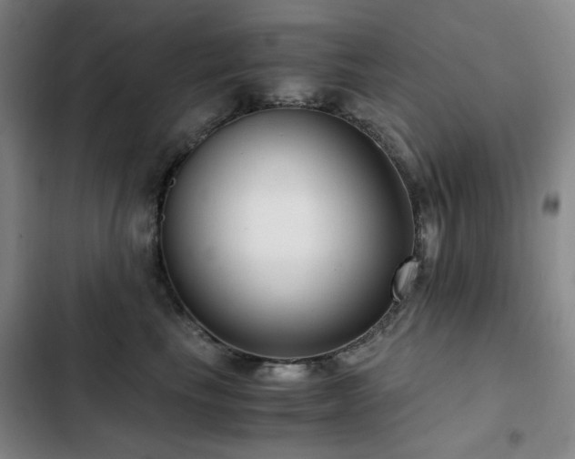 X0000103310665200808291430