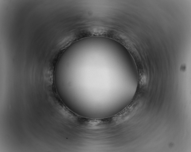 X0000103310666200808291430