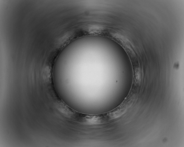 X0000103310667200808291430