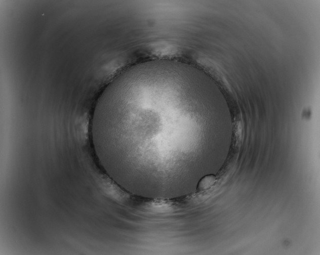 X0000103310668200808291430