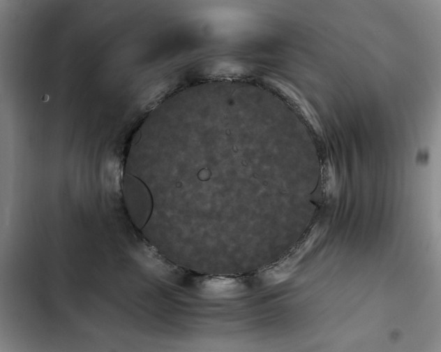 X0000103310669200808291430
