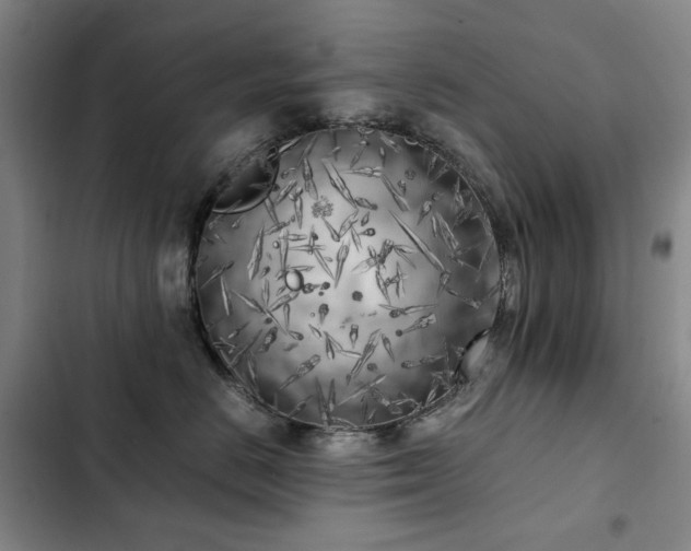 X0000103310670200808291430