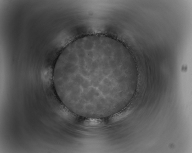 X0000103310672200808291430