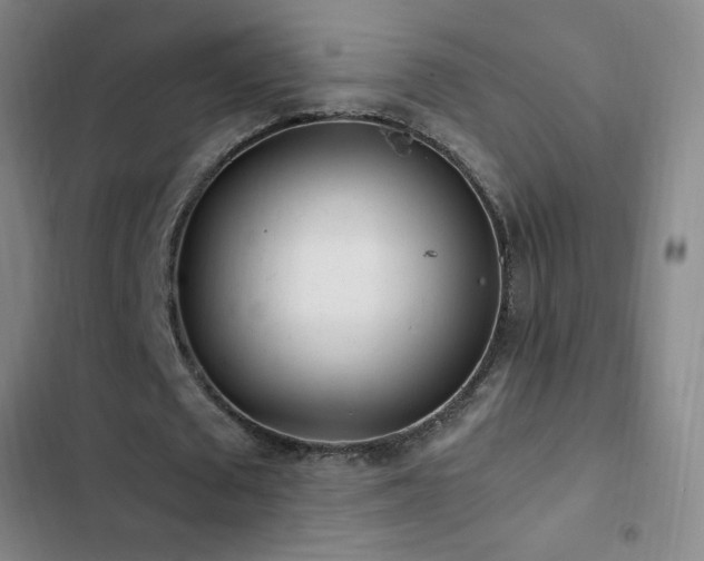X0000103310673200808291429
