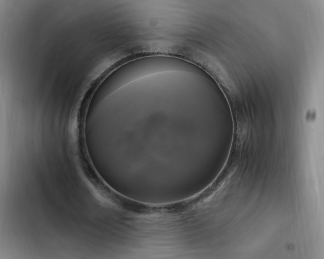 X0000103310674200808291429