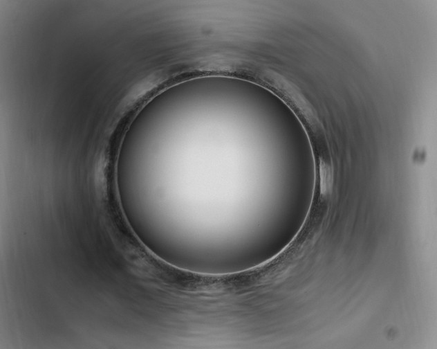 X0000103310675200808291429