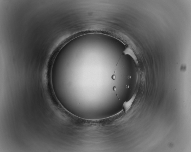 X0000103310676200808291429