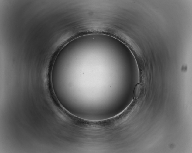 X0000103310677200808291429