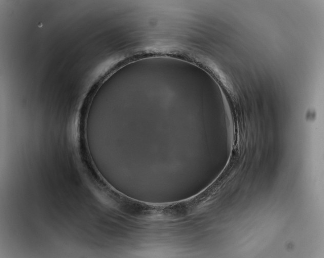 X0000103310678200808291429