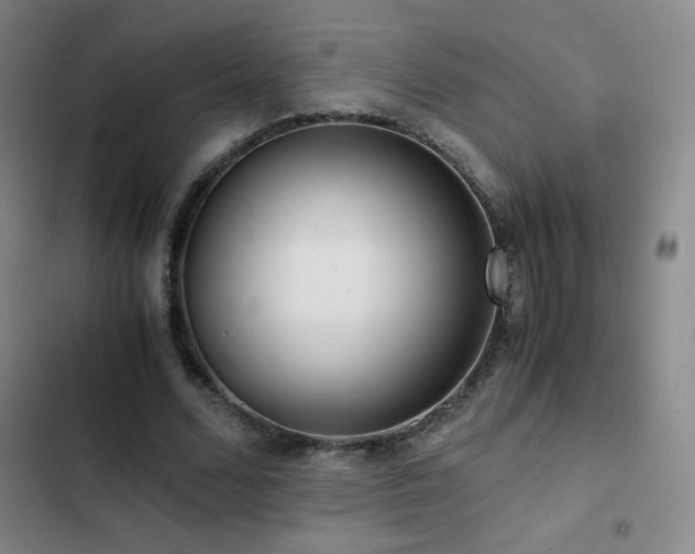 X0000103310680200808291429