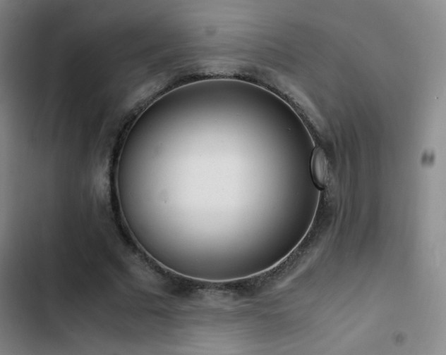 X0000103310681200808291429