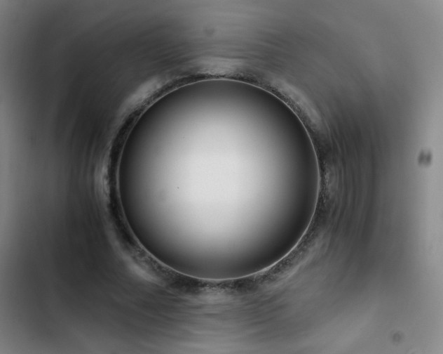 X0000103310682200808291429
