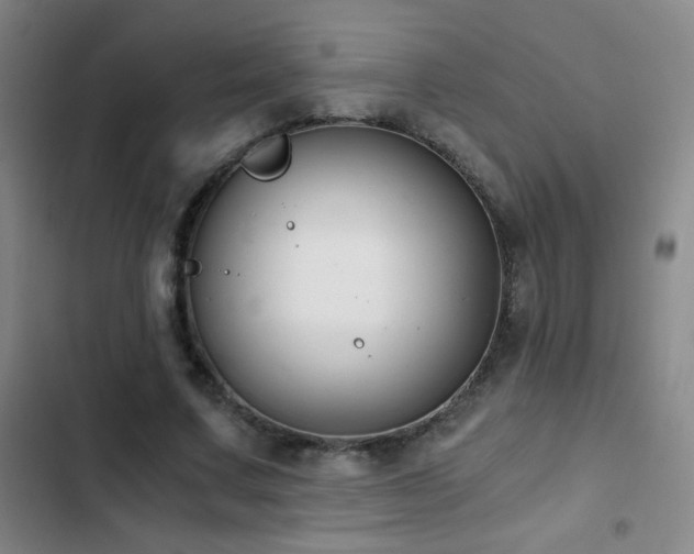 X0000103310683200808291429