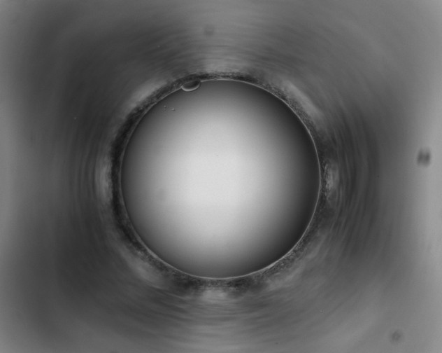 X0000103310684200808291429