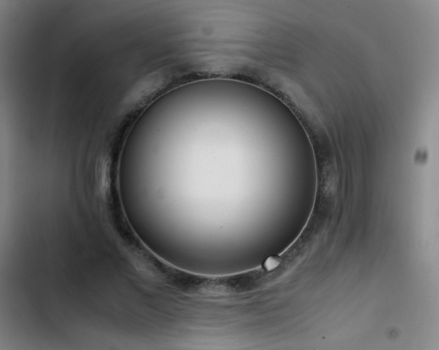 X0000103310685200808291429