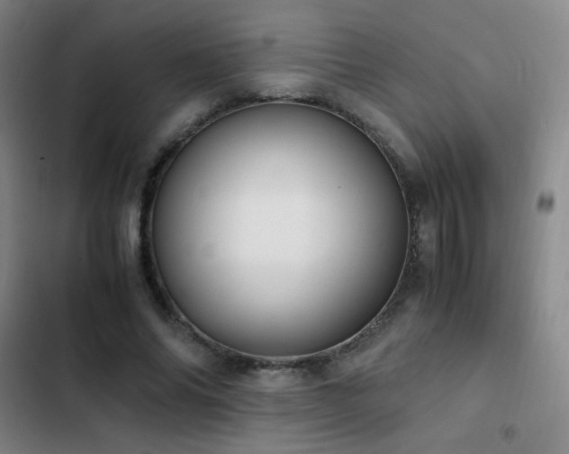 X0000103310686200808291429