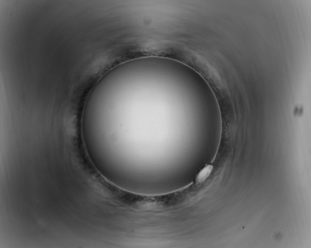 X0000103310689200808291429