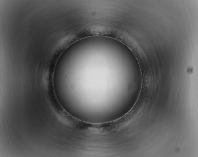 X0000103310690200808291429