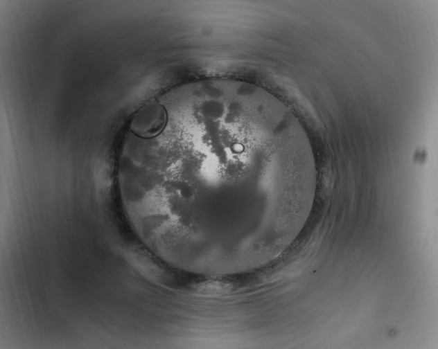X0000103310691200808291429
