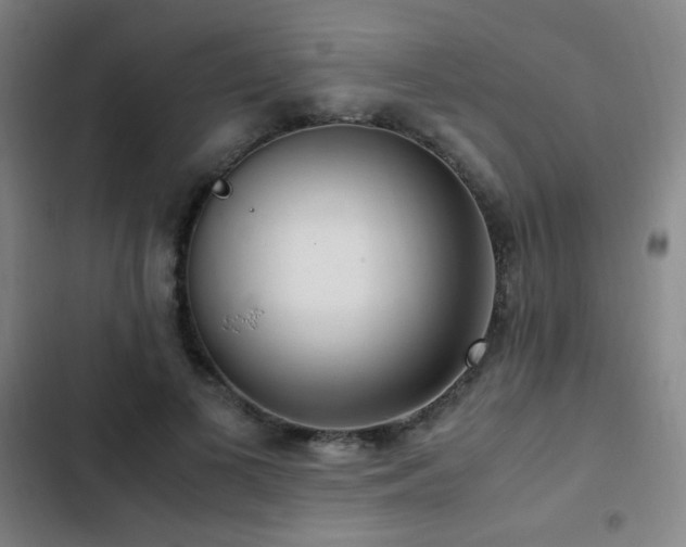 X0000103310693200808291429