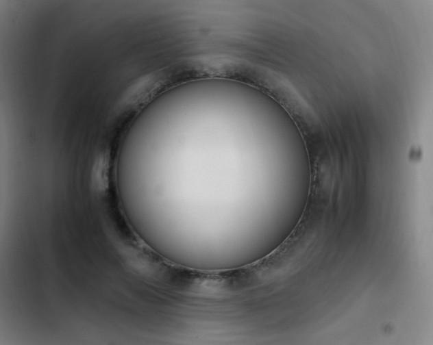 X0000103310694200808291429