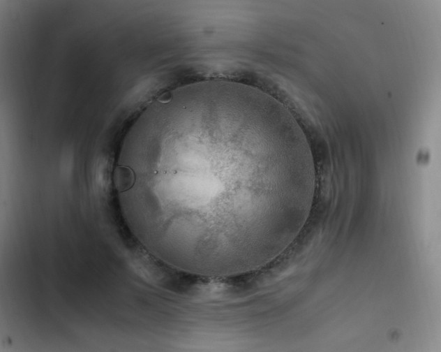 X0000103310695200808291429