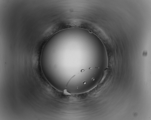 X0000103310697200808291429