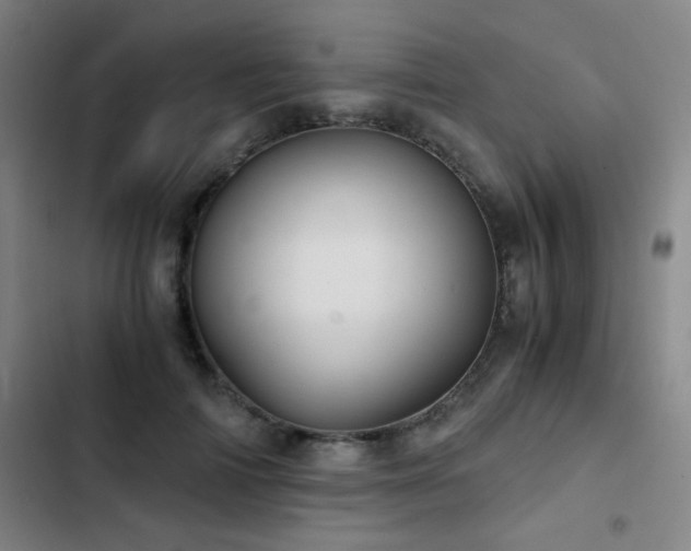 X0000103310698200808291429