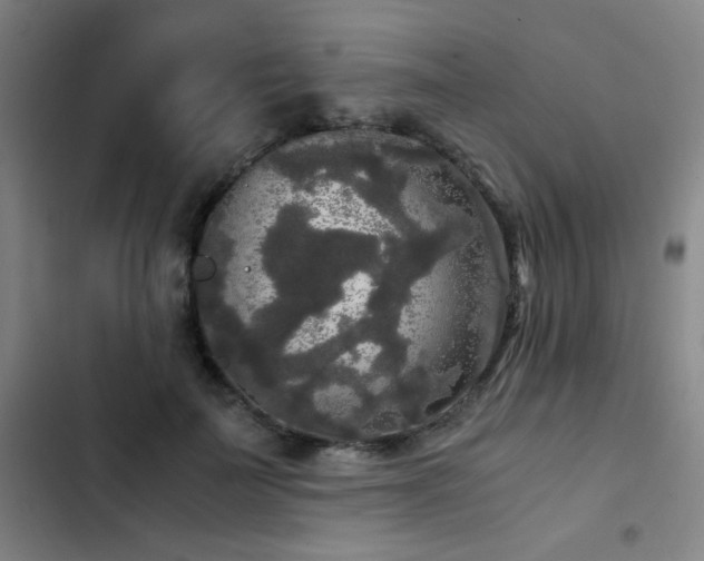 X0000103310699200808291429