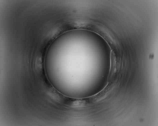 X0000103310700200808291429