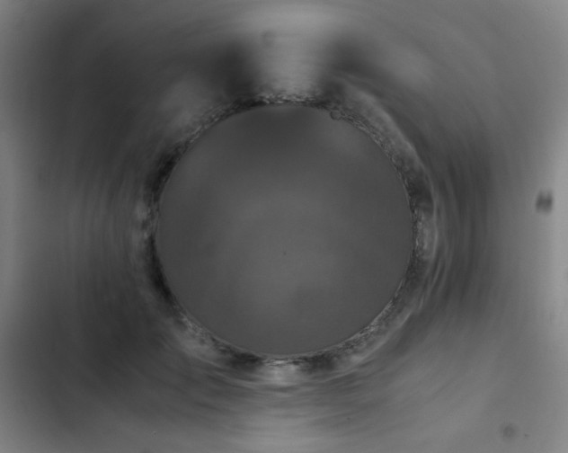 X0000103310701200808291429