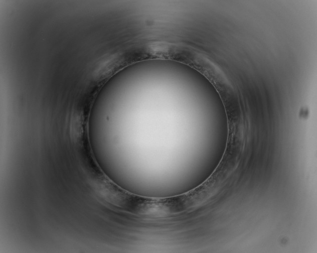 X0000103310702200808291429