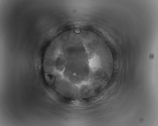 X0000103310703200808291429