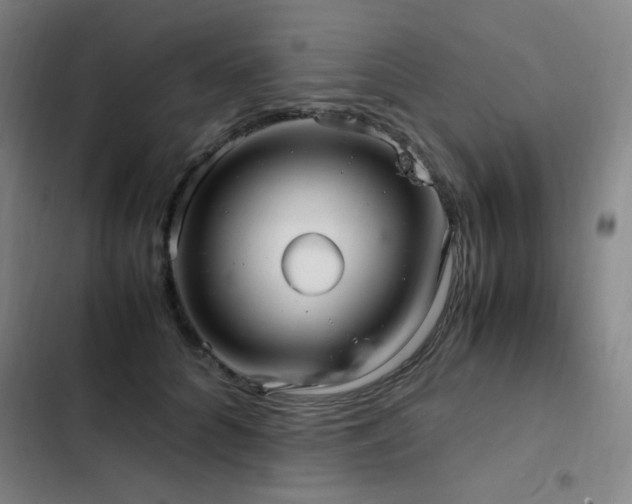 X0000103310704200808291429