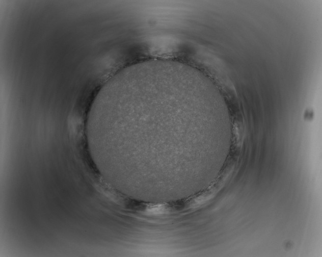 X0000103310705200808291429