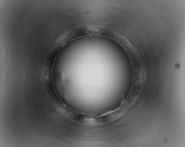 X0000103310706200808291429