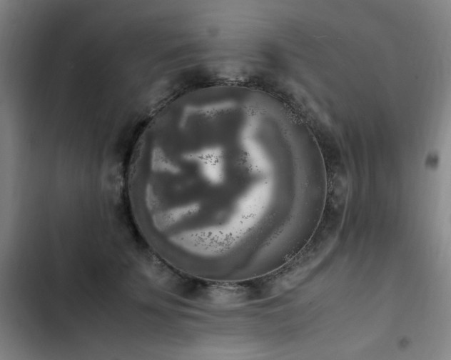 X0000103310707200808291429
