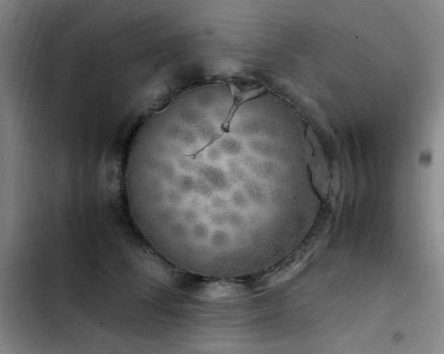 X0000103310708200808291429