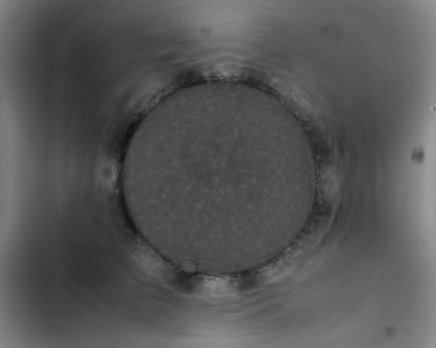 X0000103310709200808291429