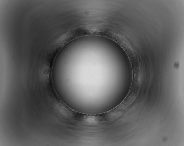 X0000103310710200808291429