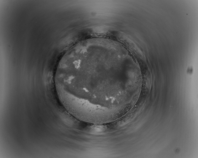 X0000103310711200808291429