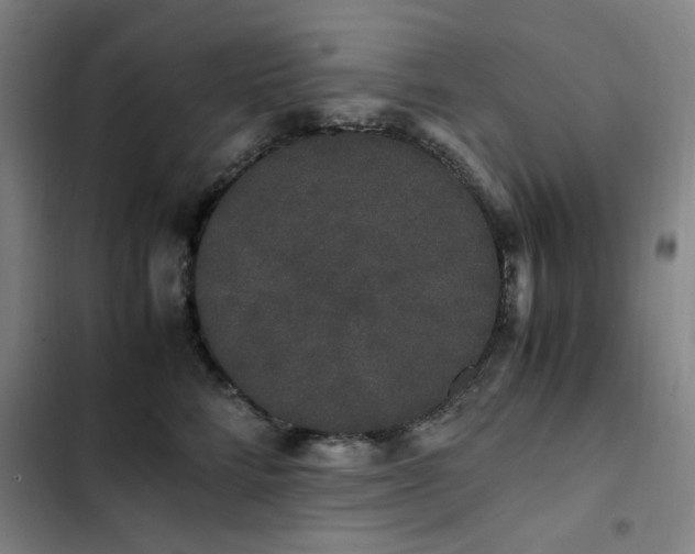 X0000103310712200808291429