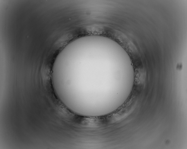 X0000103310713200808291429