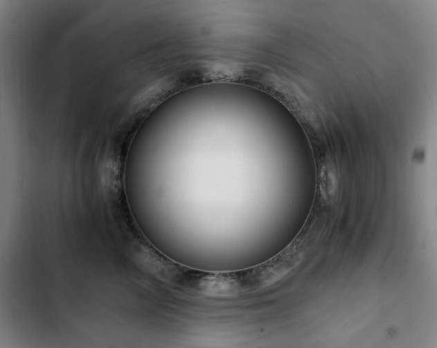 X0000103310714200808291429