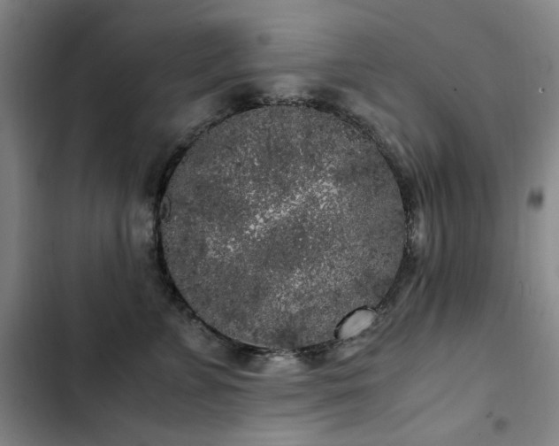 X0000103310715200808291429