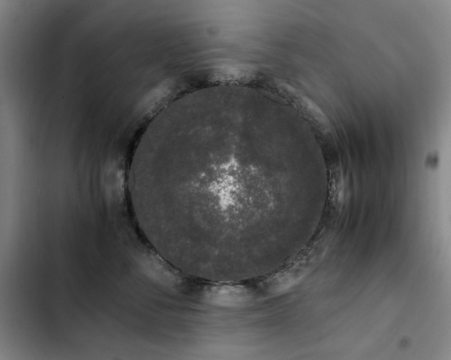 X0000103310716200808291429