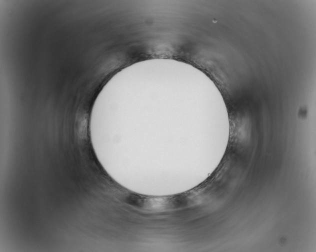 X0000103310717200808291429